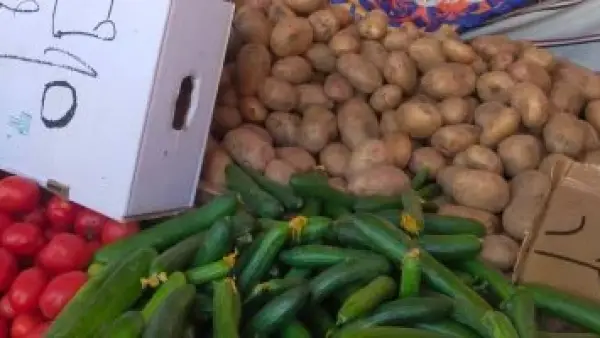 أسعار الخضراوات والفاكهة بالوادى الجديد: الطماطم بـ5 جنيهات والليمون يرتفع إلى 20 جنيهًا