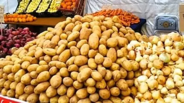 أسعار الطماطم والخضروات بكفر الشيخ تسجل تغيرات واضحة الأربعاء 17 ديسمبر 2025