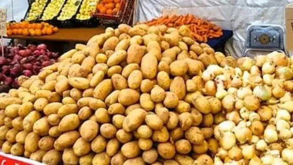 أسعار الطماطم والخضروات بكفر الشيخ تسجل تغيرات واضحة الأربعاء 17 ديسمبر 2025