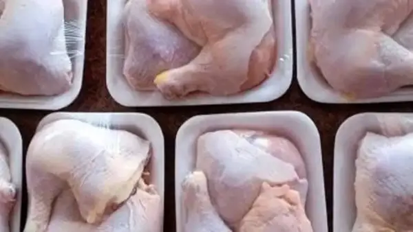 أسعار الفراخ في مطروح تتثبت عند 60 جنيهاً للكيلو الأحد 14-12-2025