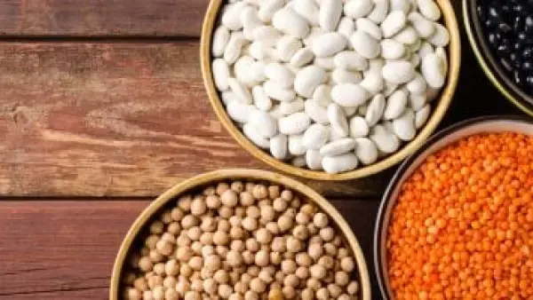 أسعار الفول البلدي وباقي البقوليات في كفر الشيخ اليوم الأحد 23 نوفمبر 2025