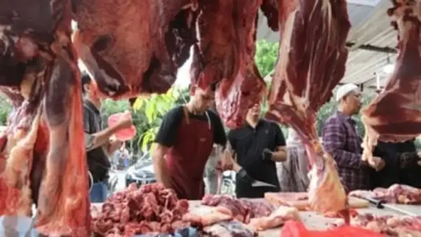 أسعار اللحوم البلدية والمستوردة في أسواق البحيرة تتحدد اليوم الأحد 14 ديسمبر