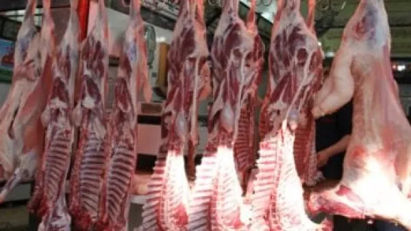 أسعار اللحوم البلدي في كفر الشيخ تسجل تباينًا واضحًا الجمعة 21 نوفمبر 2025