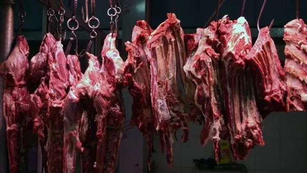 أسعار اللحوم اليوم الاثنين 15-12-2025: تغييرات جديدة تؤثر على ميزانية الأسرة