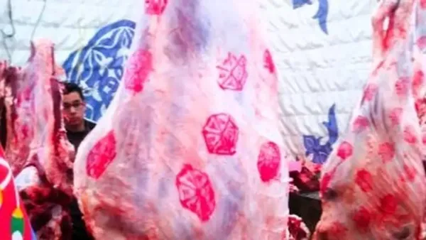 أسعار اللحوم بكفر الشيخ تصل إلى 220 جنيهًا للكيلو السبت 6 ديسمبر 2025