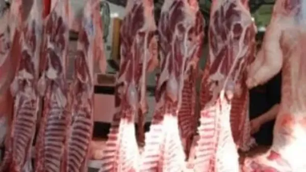 أسعار اللحوم في كفر الشيخ تسجل تبايناً مع اقتراب موسم سبتمبر 2025