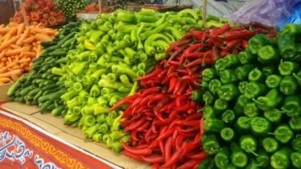 أسعار سوق الخضار والفاكهة بأسوان تواصل استقرارها ليوم الأربعاء 19 نوفمبر 2025