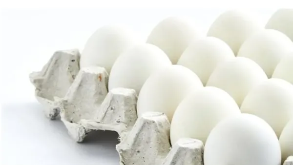 أسعار كرتونة البيض في الأسواق المصرية تنتعش مع استقرار وانخفاض مستمر منذ أسابيع