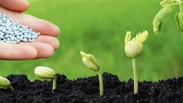 أسعار نترات النشادر واليوريا في الأسواق تتغير يوم الأحد 23 نوفمبر 2025