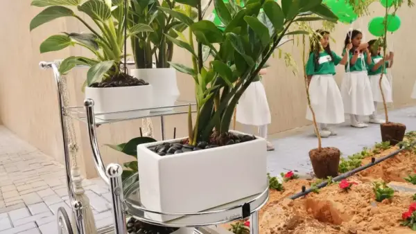 أشجار ذكية في السعودية تحول 25 ألف مدرسة إلى غابات مراقبة ومستدامة