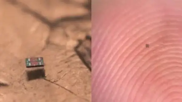 أصغر من حجم الحشرة.. تقنية ثورية تمنح الروبوتات القدرة على الحركة والتفكير المباشر