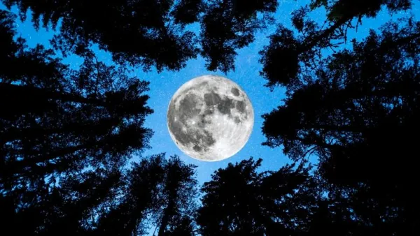 أطول ليلة في السنة.. ظاهرة الانقلاب الشتوي 2025 تسيطر على سماء المنطقة