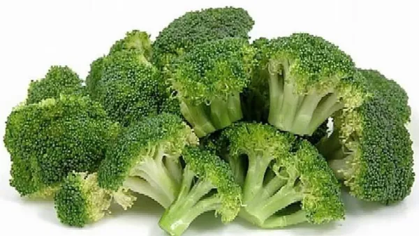 أفضل 7 أكلات شتوية تعزز المناعة وتحمي الجسم من أمراض البرد