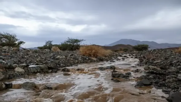 أمطار تبوك تصل إلى 118.5 ملم في يوم واحد مع تحذيرات من عواصف رعدية قادمة