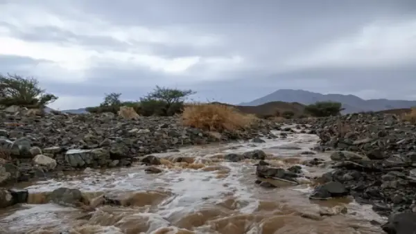 أمطار تبوك تصل إلى 118.5 ملم في يوم واحد مع تحذيرات من عواصف رعدية قادمة