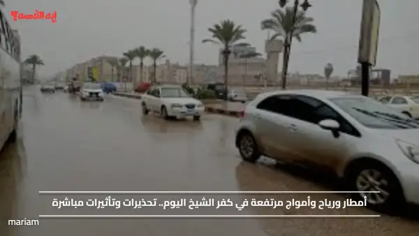 أمطار ورياح وأمواج مرتفعة في كفر الشيخ اليوم.. تحذيرات وتأثيرات مباشرة