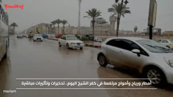 أمطار ورياح وأمواج مرتفعة في كفر الشيخ اليوم.. تحذيرات وتأثيرات مباشرة
