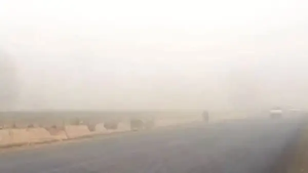 أمطار وشبورة كثيفة.. خريطة درجات الحرارة المتوقعة في محافظات مصر الجمعة