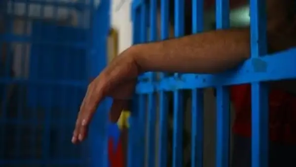 إجراءات قانونية عاجلة.. كيف تسترد حقك عند اكتشاف عقد بيع مزور؟