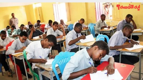 نتيجة الشهادة الابتدائية ولاية الجزيرة