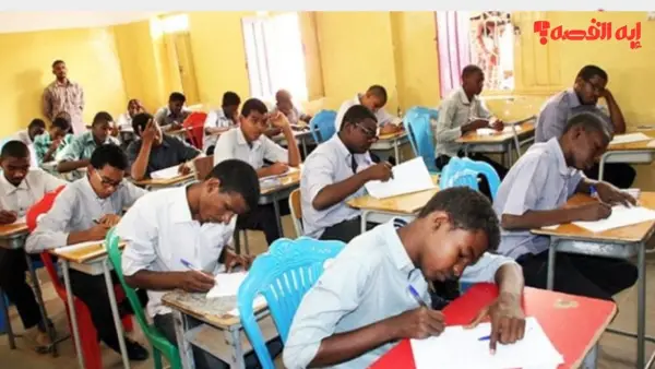 نتيجة الشهادة الابتدائية ولاية الجزيرة