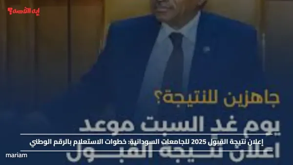 إعلان نتيجة القبول 2025 للجامعات السودانية.. خطوات الاستعلام بالرقم الوطني