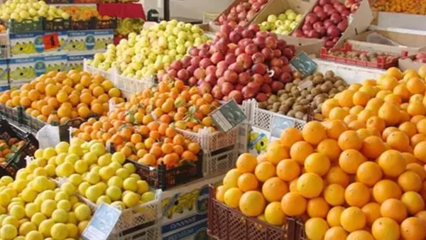 ارتفاع أسعار البرتقال والتين في سوق العبور يعكس توجهات الطلب خلال ديسمبر 2025