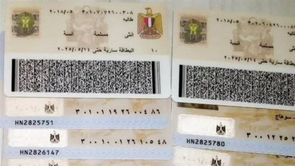 استخراج بطاقة الرقم القومي إلكترونيًا في 2025: خطوات سريعة عبر بوابة الحكومة المصرية الرسمية