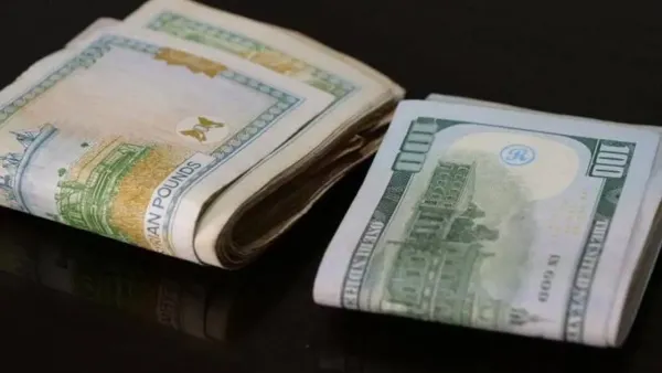 استقرار غير معتاد.. سعر الدولار في سوريا اليوم يواصل الثبات مع خطط حكومية لرفع إنتاج النفط