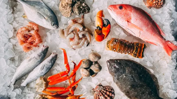 أسعار الأسماك في سوق العبور اليوم