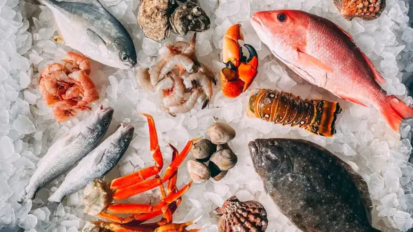 أسعار الأسماك في سوق العبور اليوم