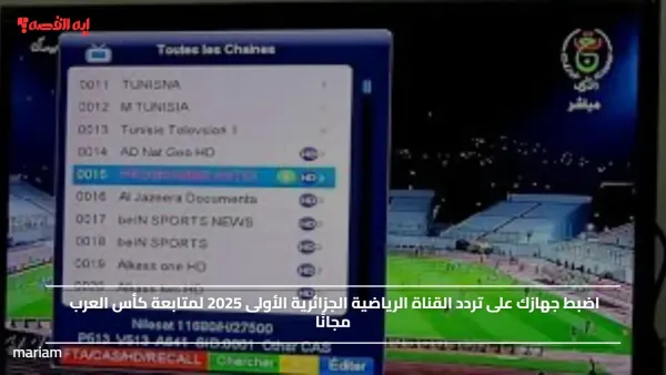 اضبط جهازك على تردد القناة الرياضية الجزائرية الأولى 2025 لمتابعة كأس العرب مجانًا