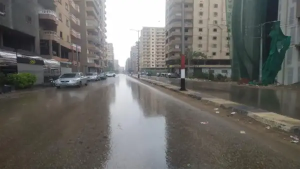 اضطراب الملاحة البحرية وتساقط أمطار متوسطة الشدة تهيمنان على حالة الطقس اليوم وغدًا