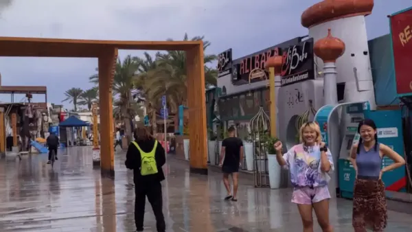 الأمطار تحول صحراء سيناء إلى واحة خضراء وتجذب السياح بمشاهد طبيعية نادرة