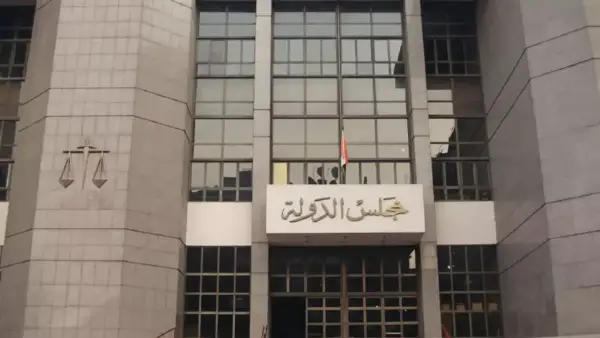 الإدارية العليا ترفض 255 طعنًا وتقرر إعادة انتخابات دائرة بالدقهلية بعد قبول طعن واحد