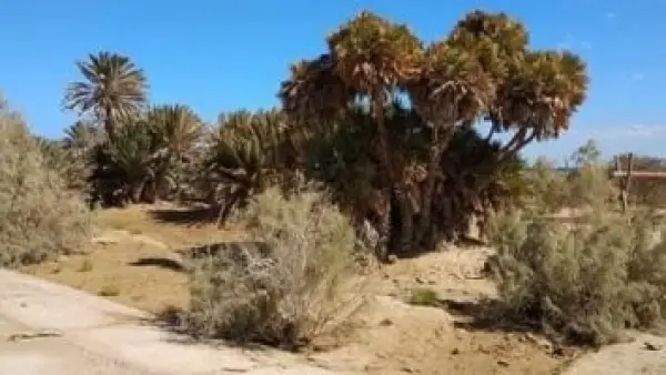 الاستعداد للشتاء.. المروحة الفيضية بمرسى علم تبدأ تخزين المياه بداخل منطقة رأس بغدادي