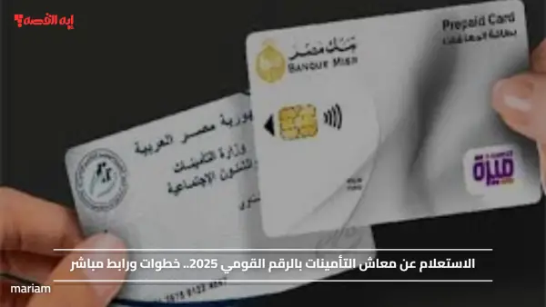 الاستعلام عن معاش التأمينات بالرقم القومي 2025.. خطوات ورابط مباشر