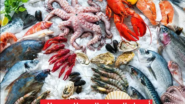 أسعار السمك اليوم للمستهلك