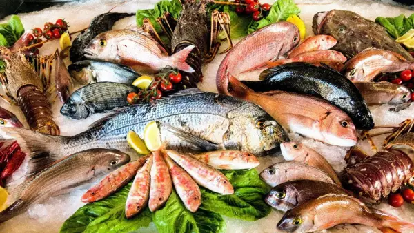 أسعار الأسماك في سوق العبور اليوم