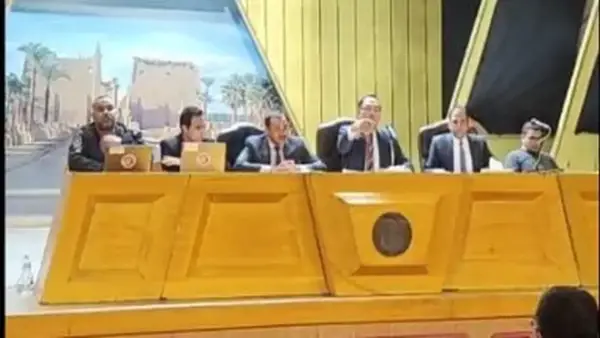 الحصر العددي لأصوات الناخبين في دائرة بندر ومركز الأقصر يحدد رسمياً توزيع الأصوات الانتخابية