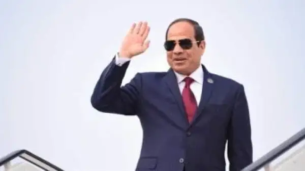 الرئيس السيسي يدعم الفن.. قرارات جديدة لتعزيز القوة الناعمة في مصر