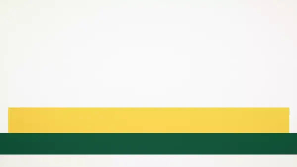 السعودية تعفي 6 فئات من المقيمين من رسوم الإقامة لتخفيف الأعباء المالية