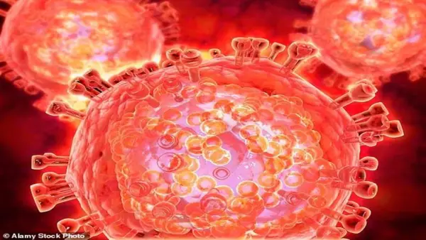 الشباب تحت 30 عامًا.. دراسة تكشف سر إصابة فئة نادرة بالتهاب القلب