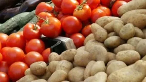 الطماطم تسجل 5 جنيهات.. قائمة أسعار الخضراوات والفاكهة اليوم في الوادي الجديد