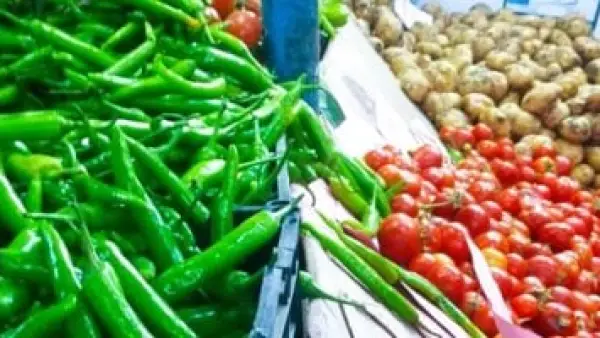 الطماطم عند 5 جنيهات.. تباين أسعار الخضار والفاكهة في أسواق المنوفية اليوم.