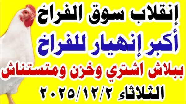 الفراخ طارت في السما.. بورصة الدواجن اليوم أسعار الفراخ البيضاء في الاسواق.. مفاجأة تهز المصريين
