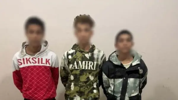 القبض على المتهمين بسرقة هاتف سائق توك توك بالقليوبية بعد تعديهم بسلاح أبيض