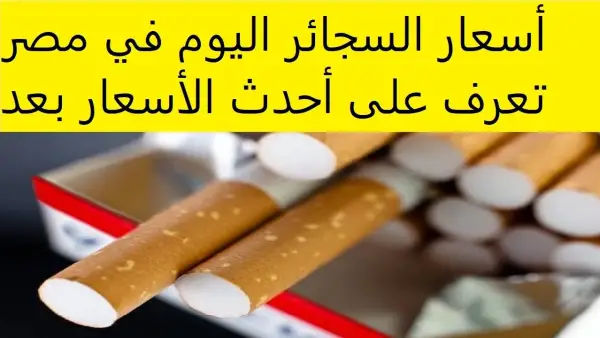 المحلية والمستوردة.. اسعار السجائر اليوم الثلاثاء 2 ديسمبر 2025 في سوق مصر بالزيادة الضريبية