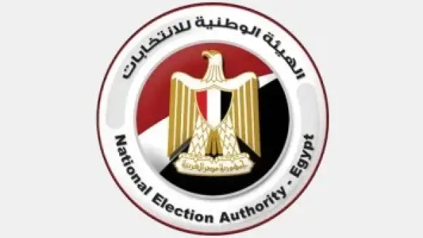 الناخبون في لوس أنجلوس.. انطلاق اليوم الثاني لإعادة تصويت الدوائر الـ19 الملغاة