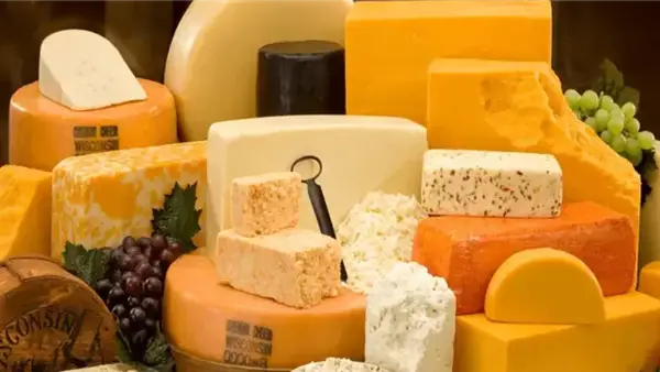 انخفاض أسعار الجبن بأنواعه الخمسة يؤثر على تكلفة حياة المستهلكين اليوم